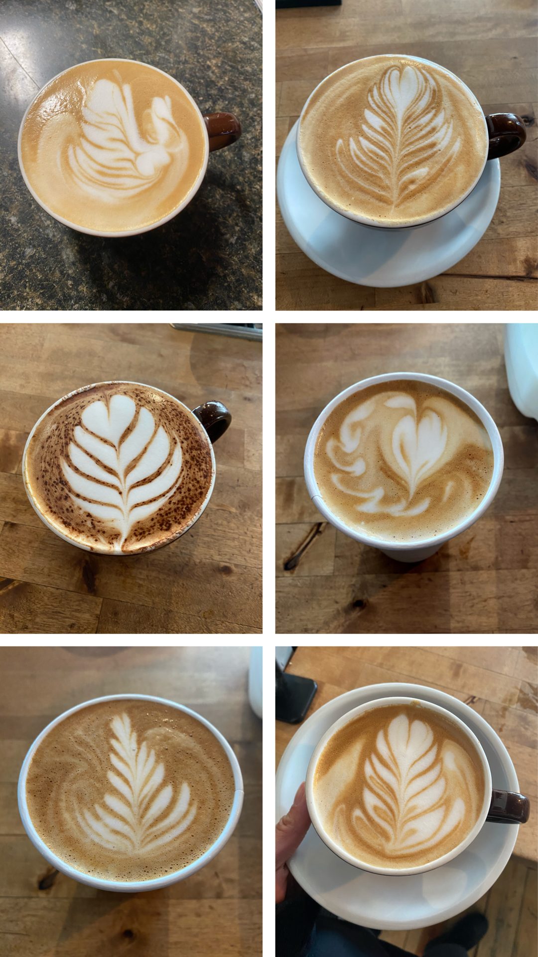 Latte art from Essence of Coffee